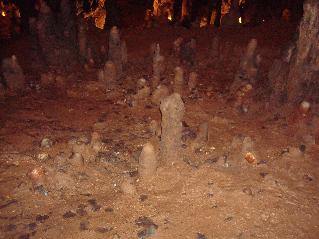 Estalactitas colgando del techo en la Cueva de Valporquero