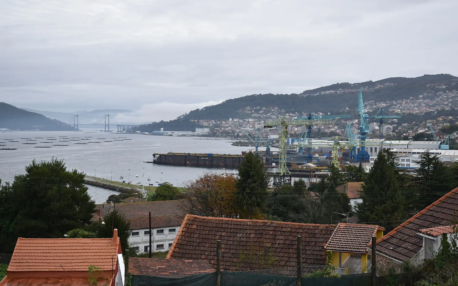 Vigo