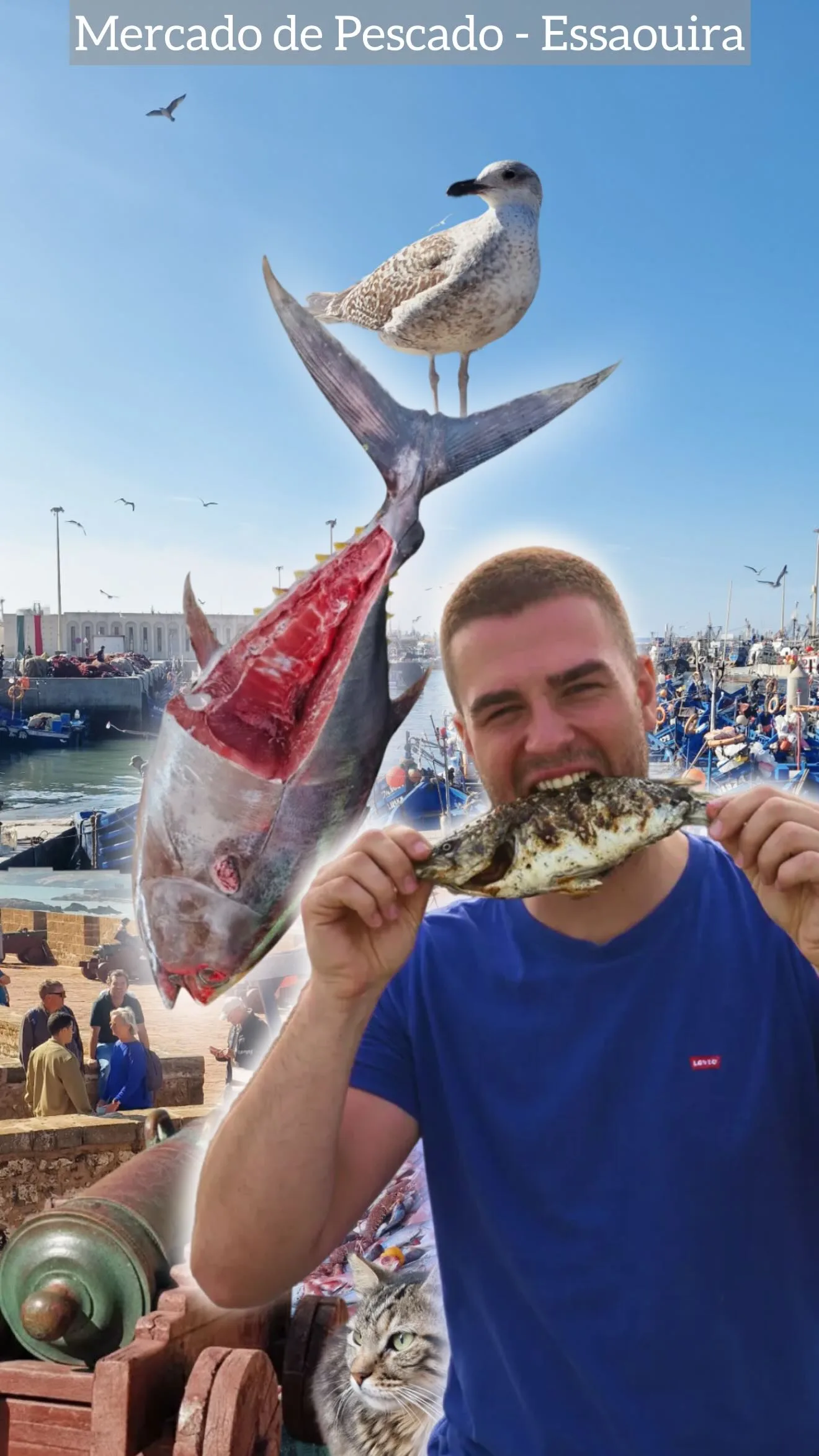 El mercado de pescado de Essaouira: subastas a pie de muelle en Marruecos