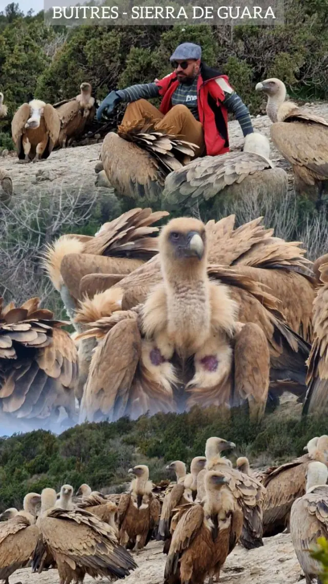 Sierra de Guara