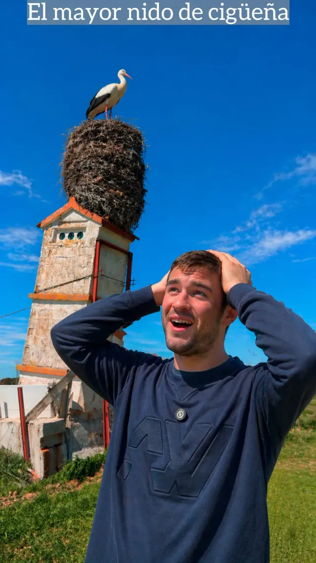 El nido de cigüeña más famoso de España: la "Torre de Pisa" burgalesa